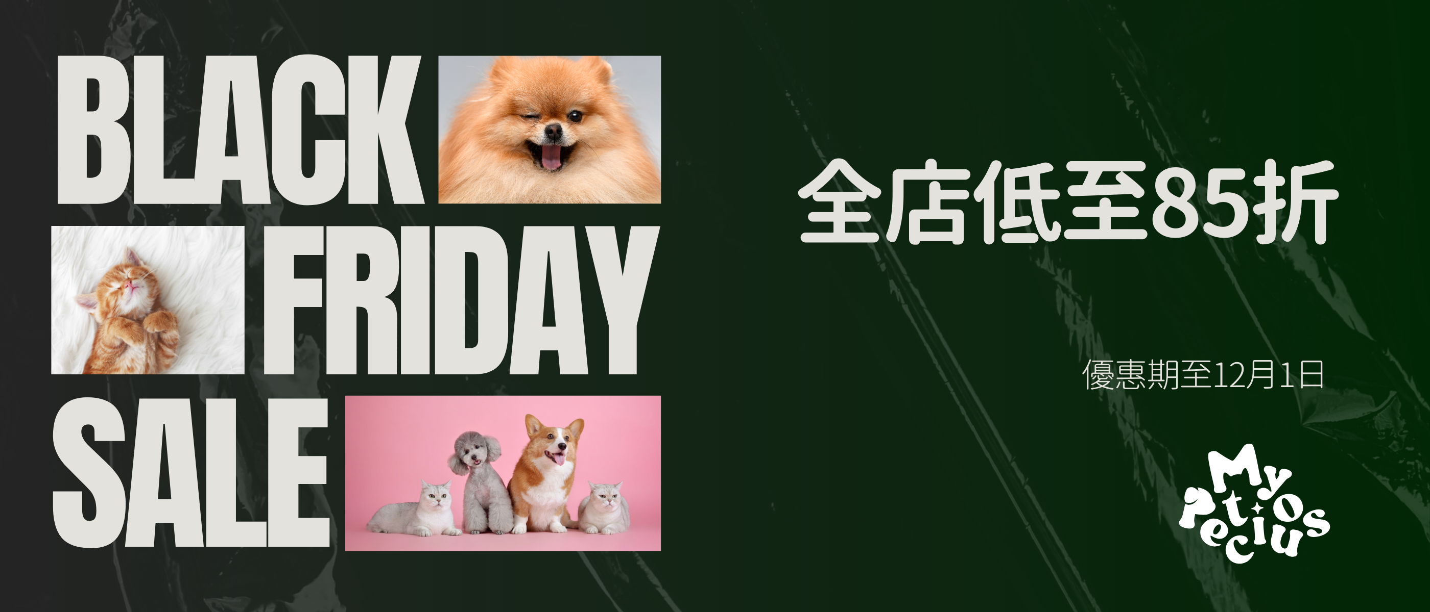 BLACK FRIDAY 激減優惠低至八五折