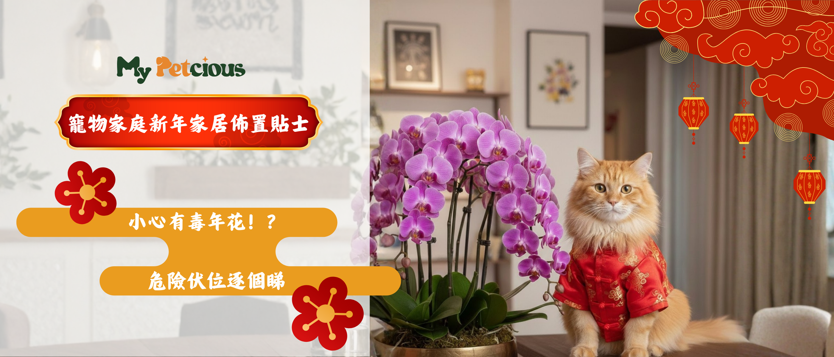 2026 寵物家居新年安全攻略：除夕佈置、親友拜年，危險伏位逐個睇！