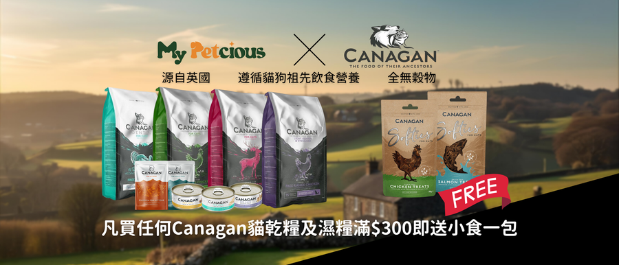 買Canagan貓糧送小食一包 （已完結）