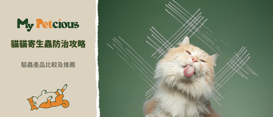 貓貓寄生蟲預防攻略2025