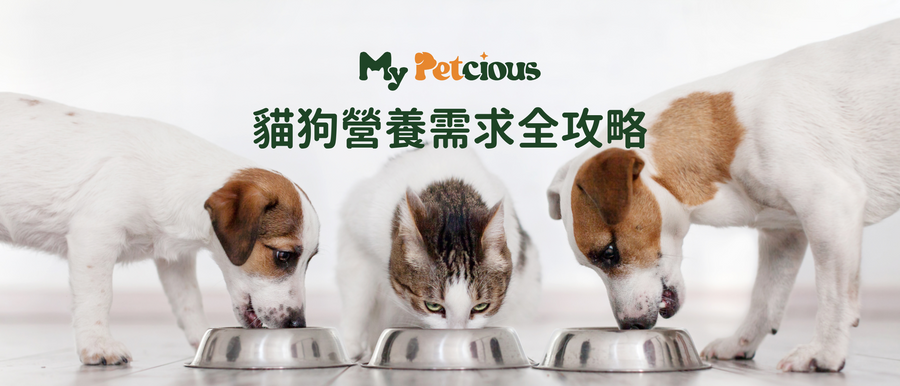 貓狗營養需求全攻略｜專業指南與飼主必讀FAQ
