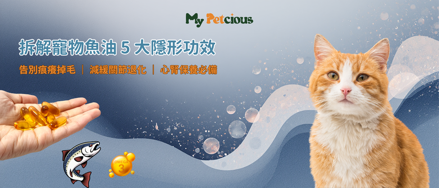 貓狗爆毛、保養關節、抗發炎！拆解寵物魚油（Omega-3）5 大隱形功效