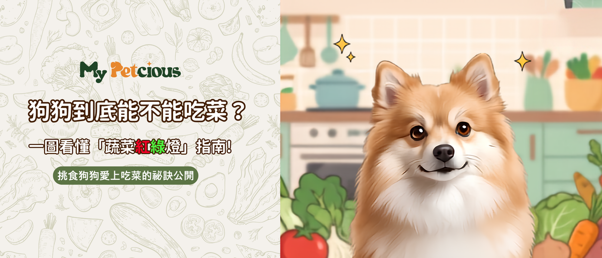 狗狗可以吃蔬菜嗎？新手必看「蔬菜紅綠燈」指南！挑食狗狗愛上吃菜的祕訣公開
