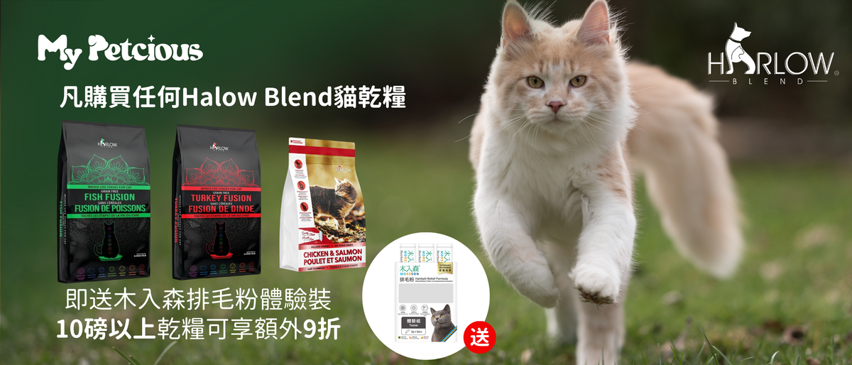 【My Petcious 獨家】Harlow Blend 貓乾糧限時特惠！買即送木入森排毛粉，大包裝再享 9 折 🐱✨