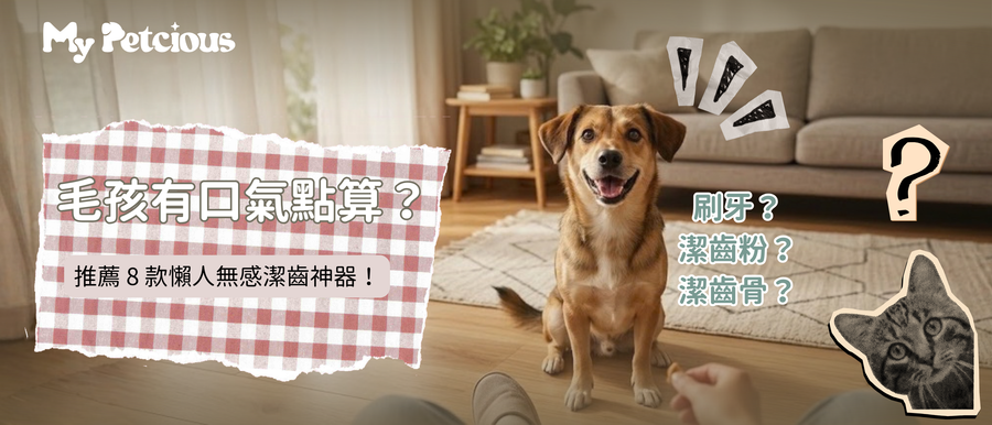 【極致懶人潔齒】狗狗口臭點算？飲水、食潔齒骨都有效？推薦 8 款懶人無感潔齒神器！