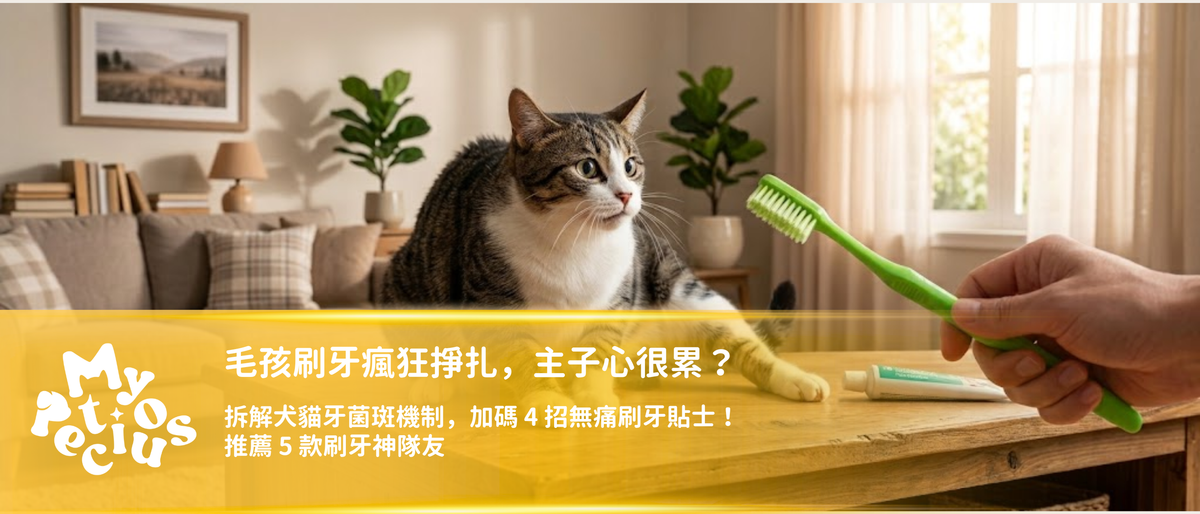 【寵物刷牙教學】毛孩刷牙瘋狂掙扎，心很累？拆解犬貓牙菌斑機制，加碼 4 招無痛刷牙貼士！推薦 5 款刷牙神隊友