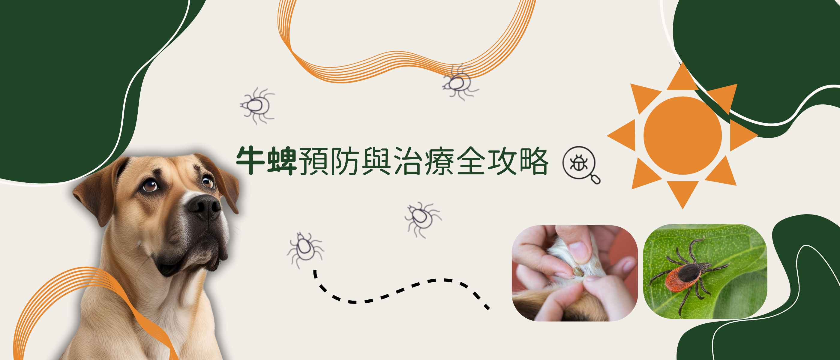 狗狗頭號寄生蟲大敵：牛蜱（壁蝨）的預防與治療全攻略 | My Petcious