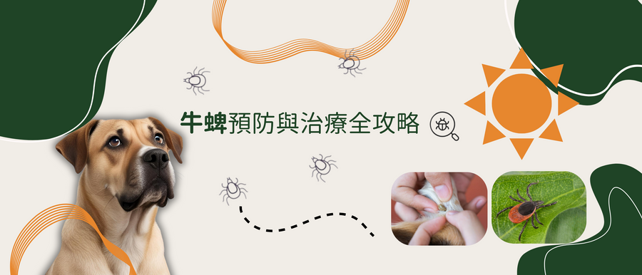 狗狗頭號寄生蟲大敵：牛蜱（壁蝨）的預防與治療全攻略 | My Petcious