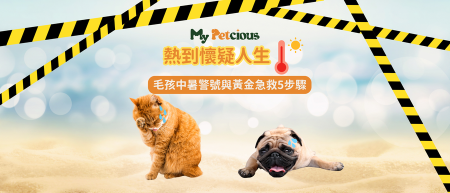 Pet_heat_stroke_tips