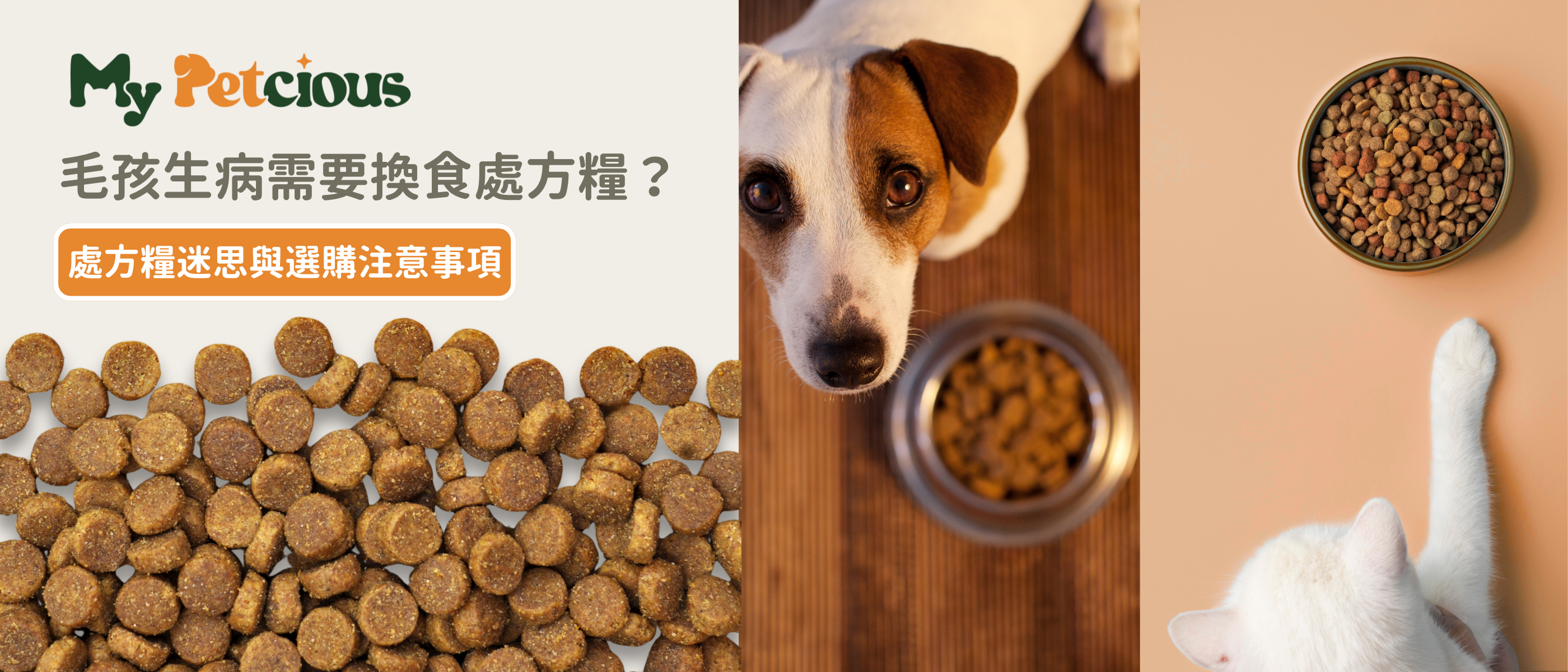 毛孩生病需要換食處方糧？處方糧迷思與選購注意事項