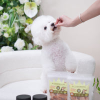 皇室貴寵_純天然風乾鱷魚肉乾_50g