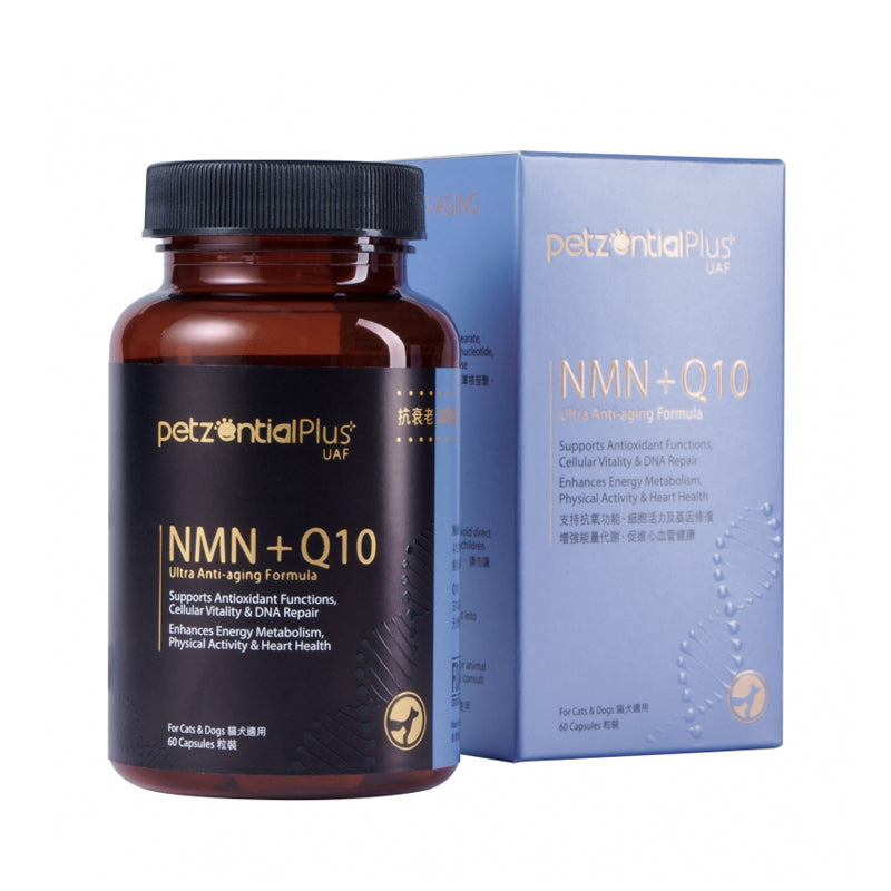 PetzentialPlus_NMN+Q10_精華素_60粒膠囊