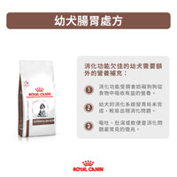 Royal Canin - VHN GastroIntestinal Puppy 幼犬腸胃道處方糧