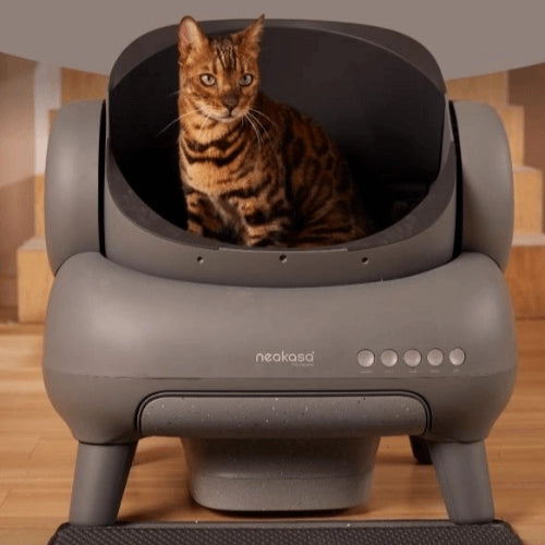 Neakasa M1智能自動貓砂機