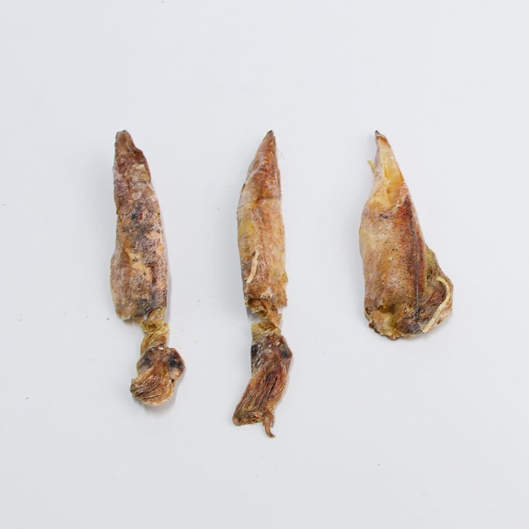 PETMIUM_全天然凍乾太平洋魷⿂_20g