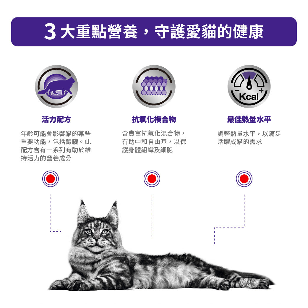 royal_canin_vhn_cat_mature_consult_wet