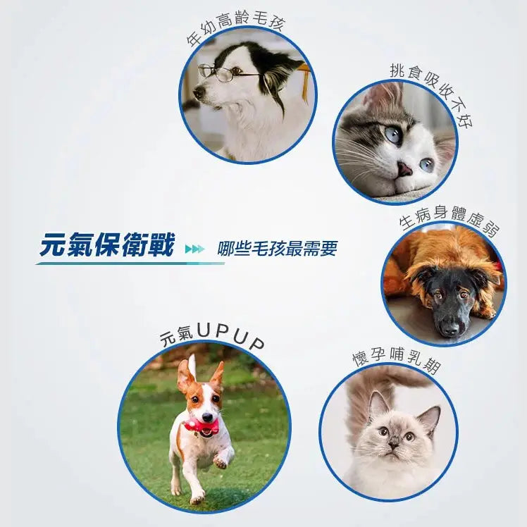 Virbac - Nutri Plus Gel維克營養膏