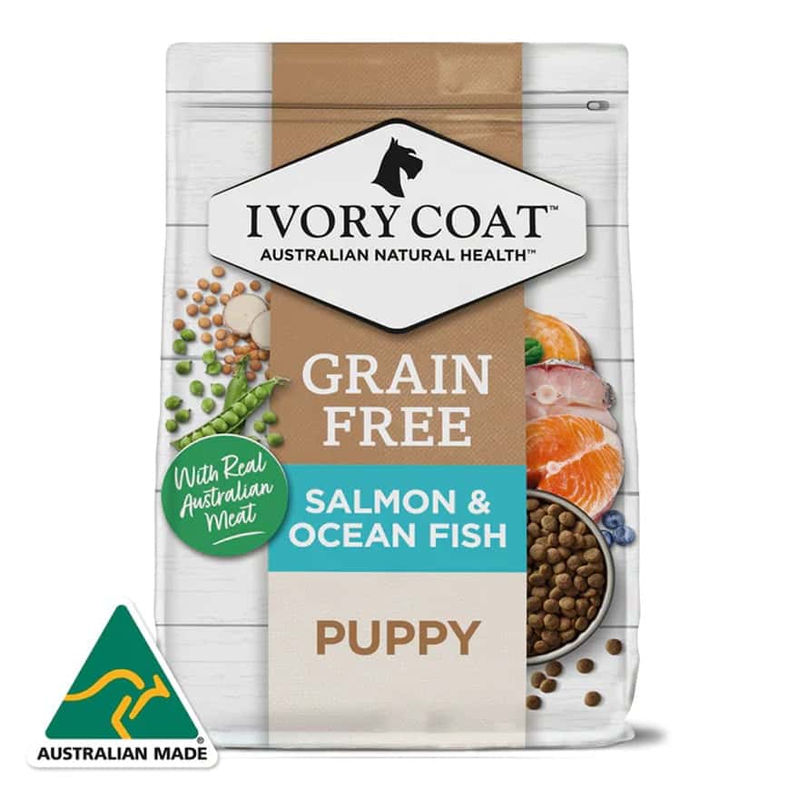ivory_coat_puppy_dog_ocean_fish_dry