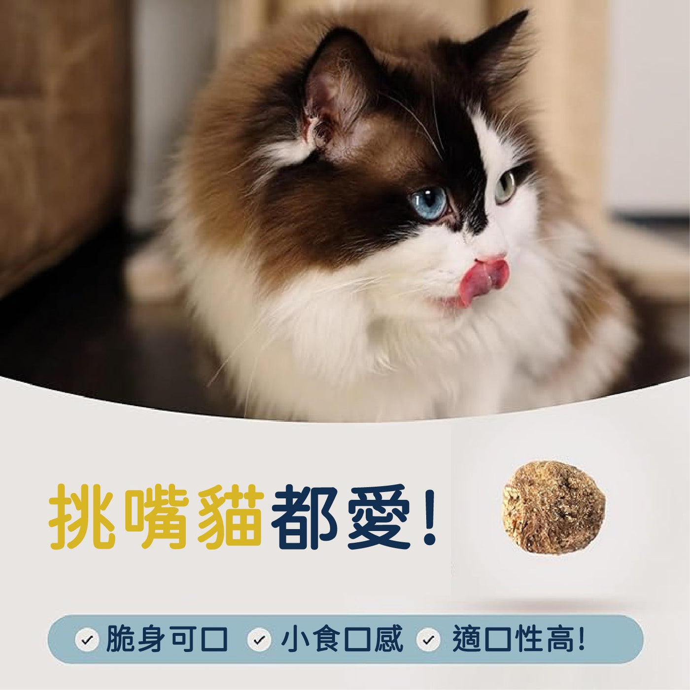 巔峰微蒸煮風乾- 放養雞配原條鯖魚貓乾糧