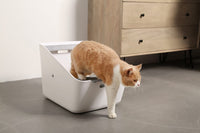 PETKIT_Pura_Cat_感應式自動除臭貓廁所_(含Pura_Air智能除臭器,貓砂鏟)