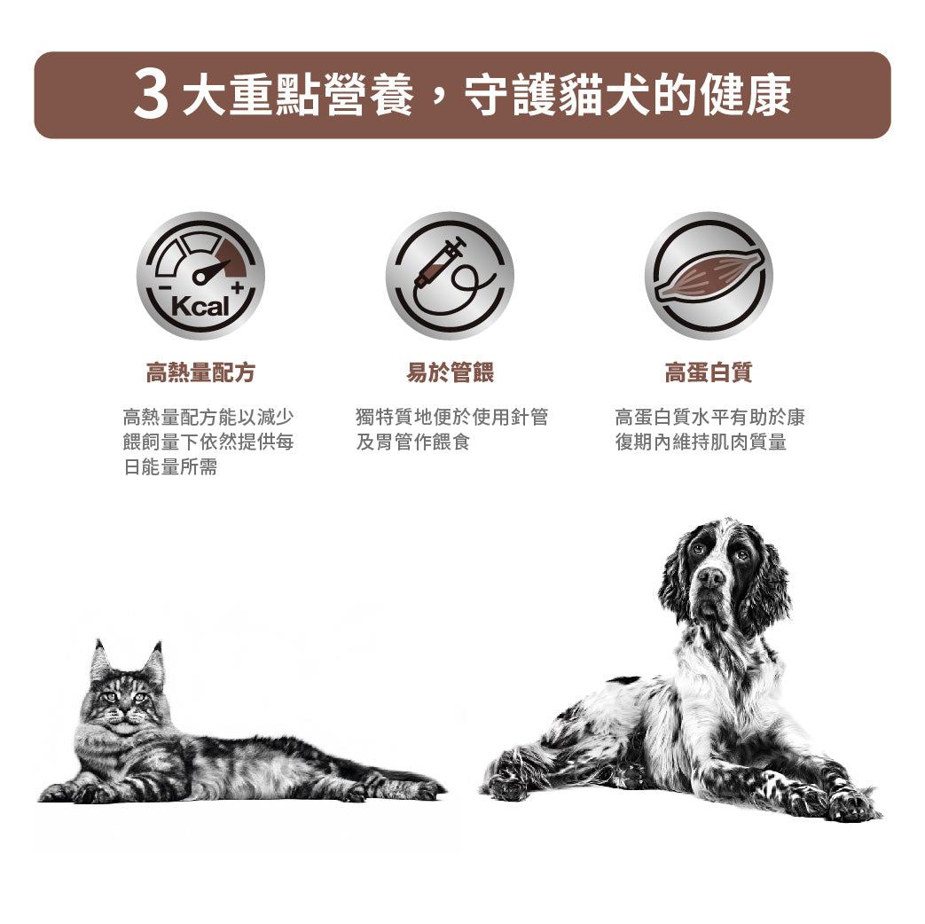 Royal Canin - Recovery ICU ICU重症營養補給處方（貓/犬用）濕糧罐頭 195g