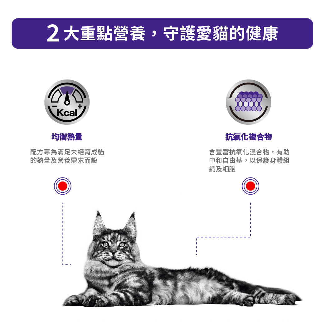 Royal Canin - VHN Cat Adult 成貓獸醫配方2kg