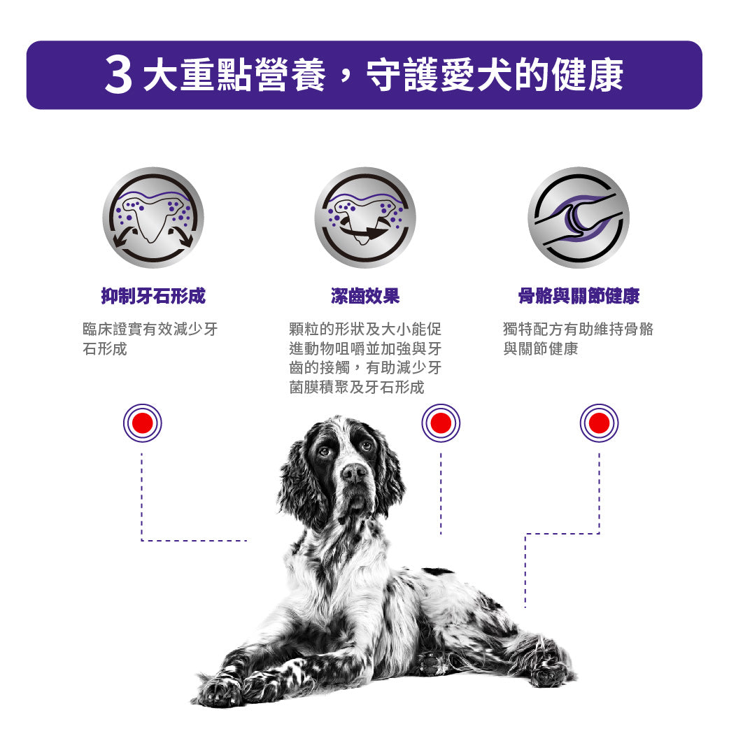 Royal Canin - VHN Dental Dog 成犬潔齒配方處方糧