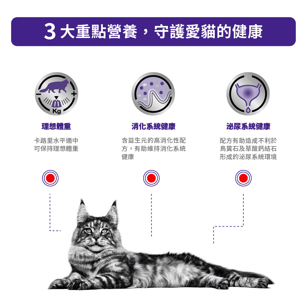 Royal Canin - VHN Cat Neutered Balance 絕育貓飽足感健康管理袋裝濕糧（肉汁）85g