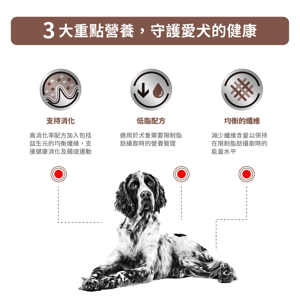 Royal Canin - VHN Dog GastroIntestinal Low Fat 成犬腸胃低脂處方濕糧罐頭420g