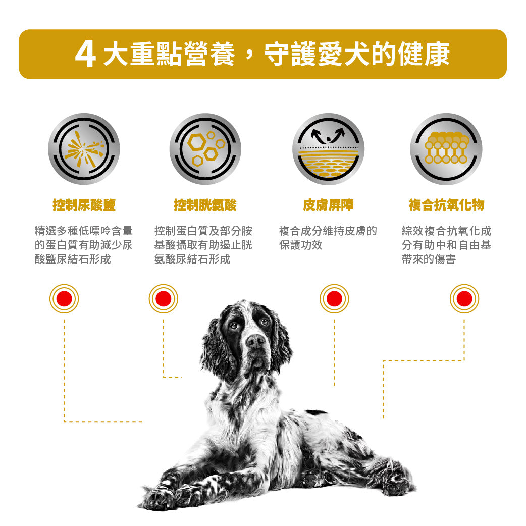 Royal Canin - VHN Dog Urinary U/C Low Purine成犬U/C防尿石(低嘌呤)處方糧