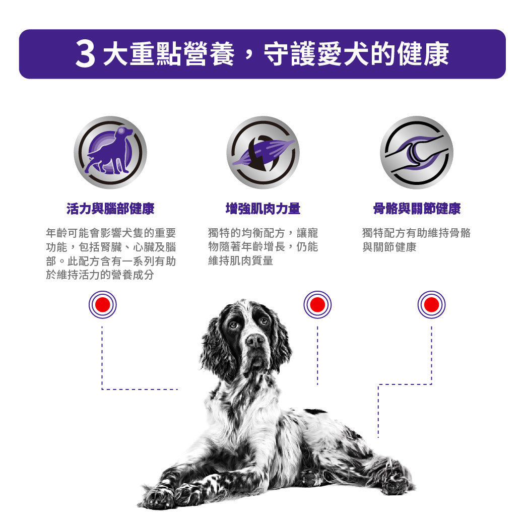 Royal Canin - VHN Mature Consult Dog 高齡犬健康管理裝濕糧85g