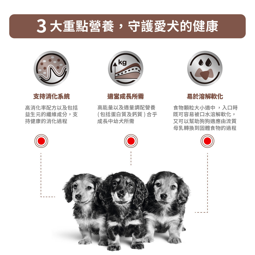 Royal Canin - VHN GastroIntestinal Puppy 幼犬腸胃道處方糧