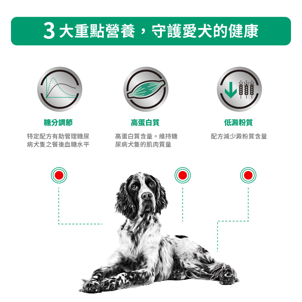 Royal Canin - VHN Dog Diabetic 成犬糖尿病處方糧
