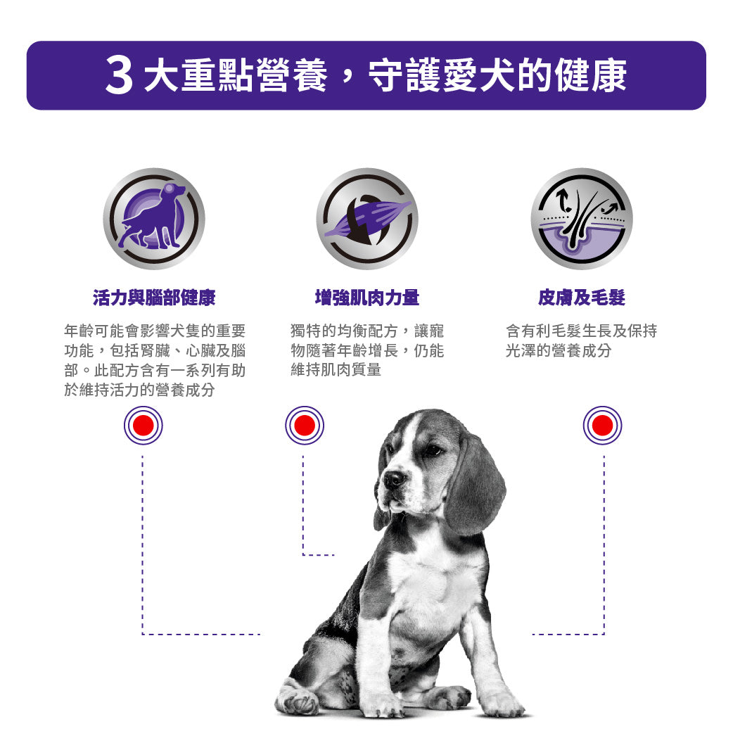 Royal Canin - VHN Mature Consult Medium Dog 法國皇家 - 中型老年犬配方