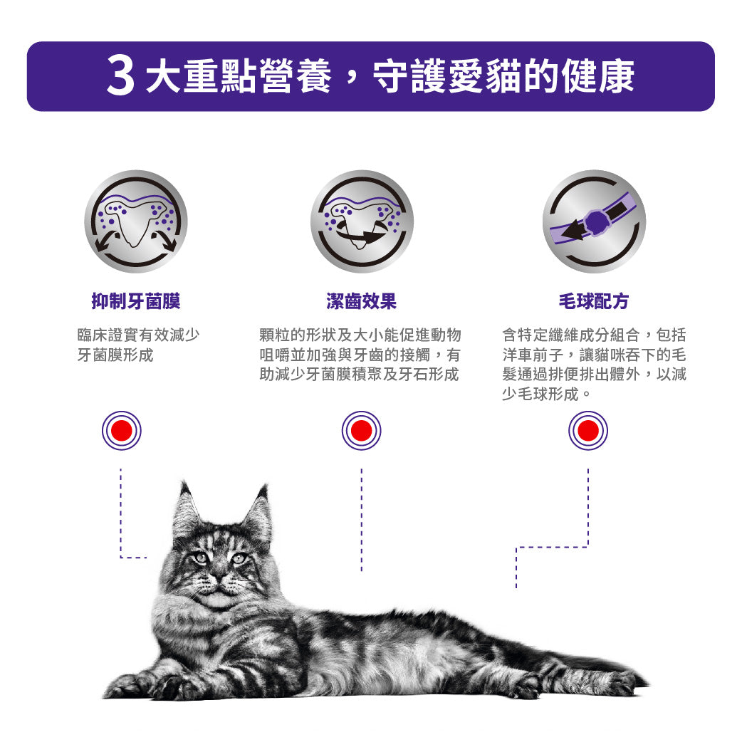 Royal Canin - VHN Cat Dental 貓潔齒配方獸醫處方糧