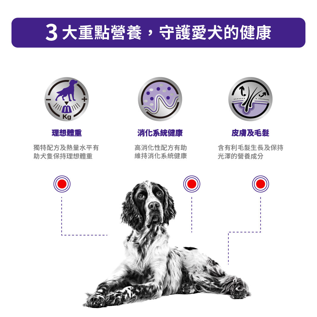 Royal Canin - VHN Neutered Adult Dog 成犬配方濕糧100g