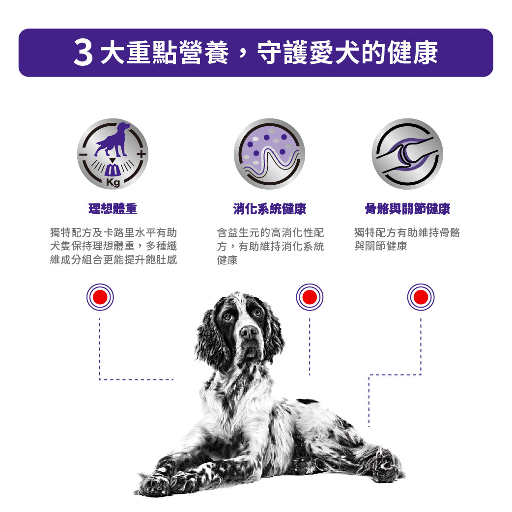 Royal Canin - VHN Neutered Adult Large Dog 大型成犬絕育處方糧