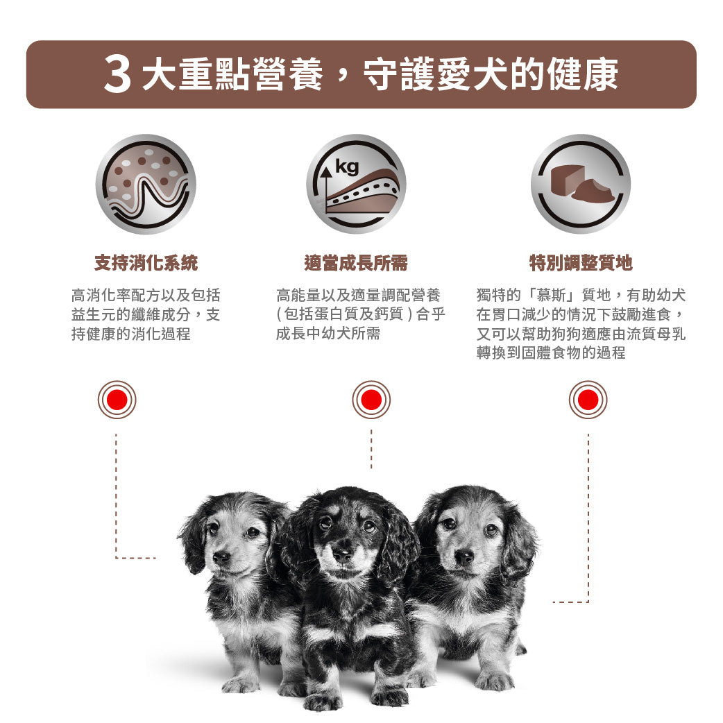 Royal Canin - VHN GastroIntestinal Puppy 幼犬腸胃道處方濕糧195g