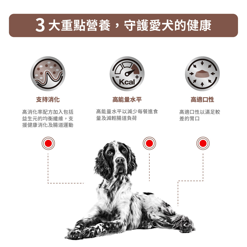 Royal Canin - VHN Dog GastroIntestinal 成犬腸胃處方濕糧罐頭400g