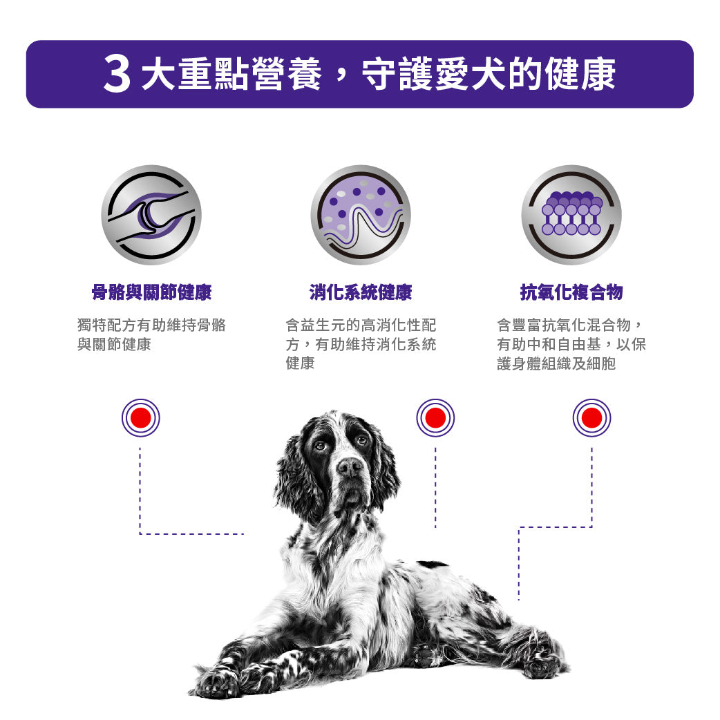 Royal Canin - VHN Adult Large Dog 大型成犬配方