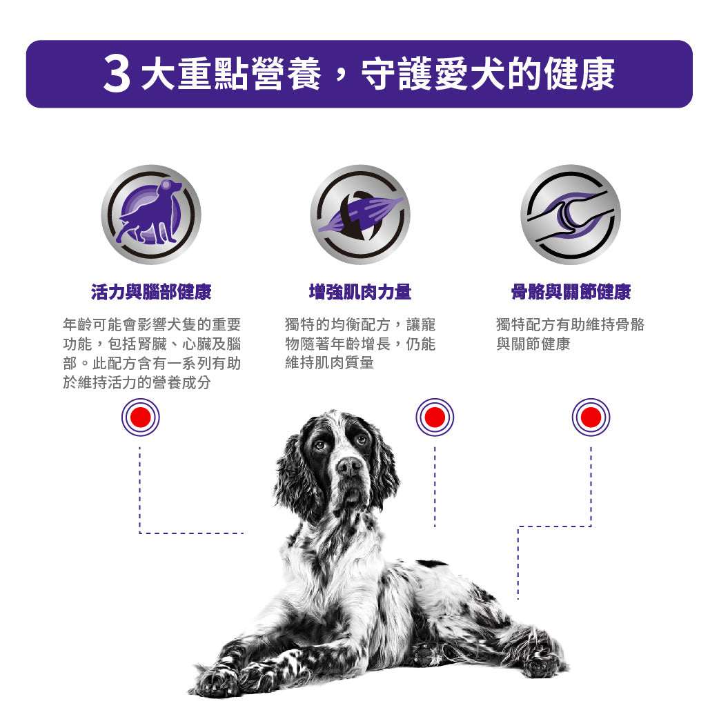 Royal Canin - VHN Mature Consult Large Dog 大型老年犬處方糧