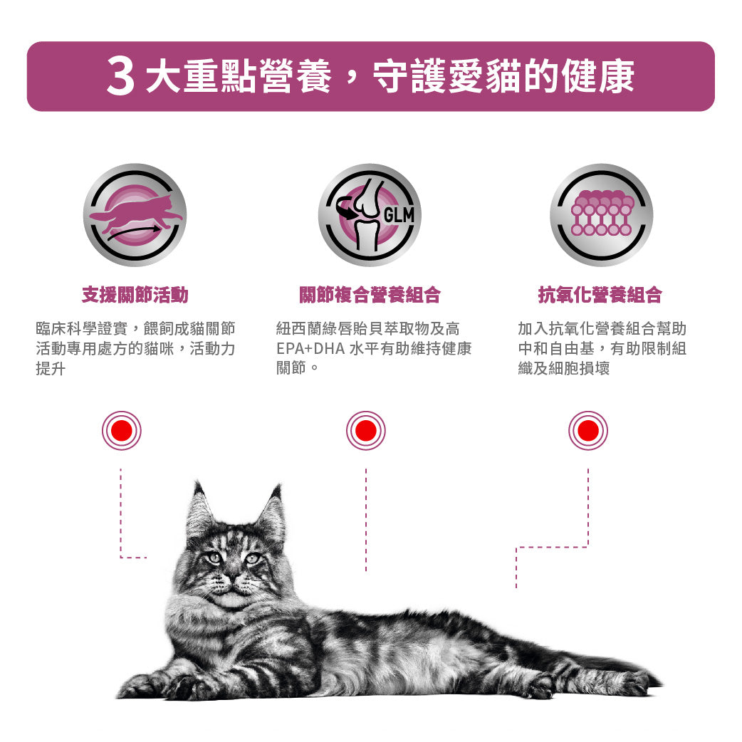 Royal Canin - VHN Cat Mobility 成貓關節處方糧2kg