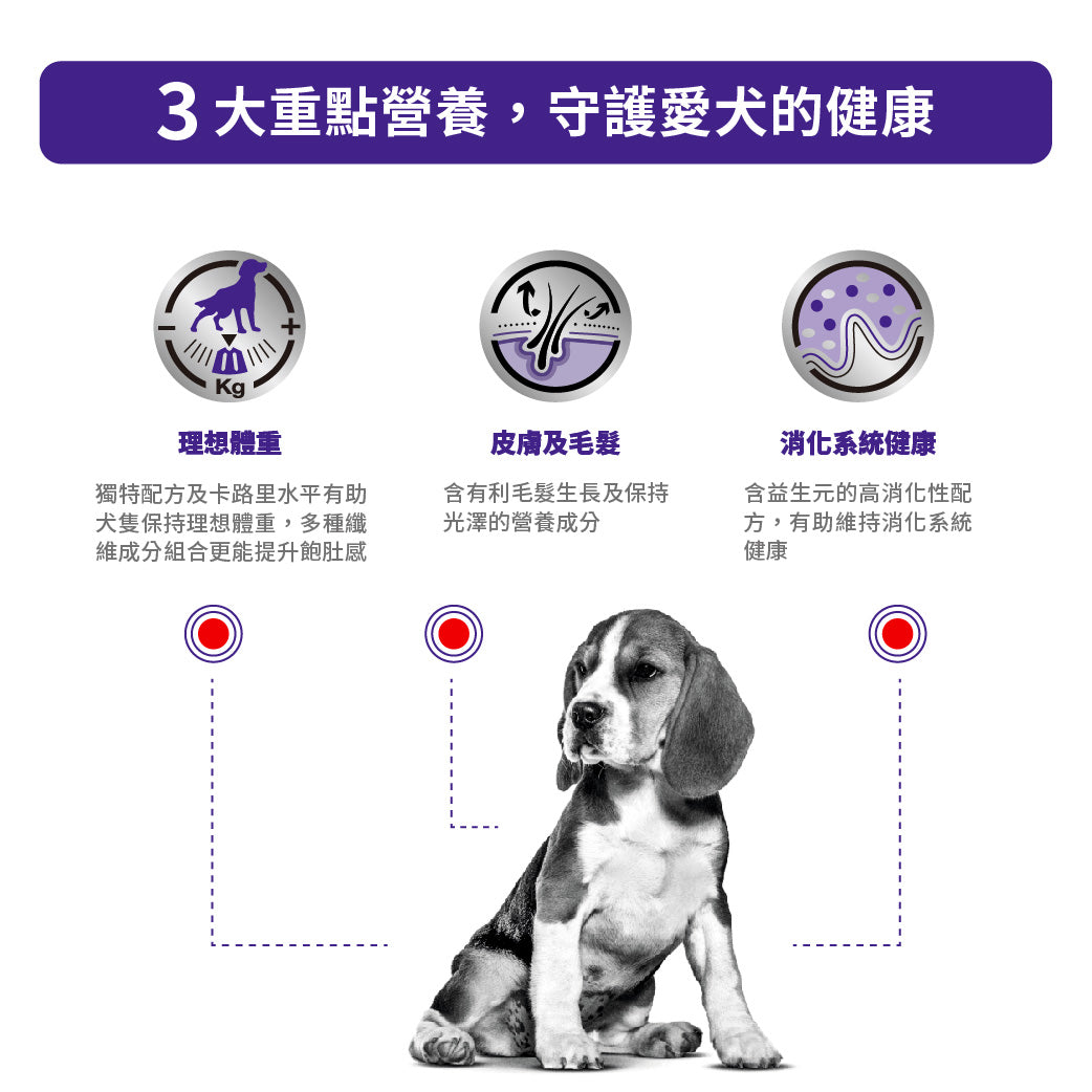 Royal Canin - VHN Neutered Adult Medium Dog 成犬絕育處方糧