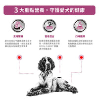Royal Canin - VHN Dog Renal 成犬腎臟處方袋裝濕糧 100g
