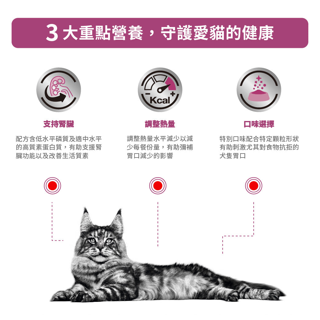 Royal Canin - VHN Cat Renal 成貓腎臟處方袋裝濕糧85g 牛肉味