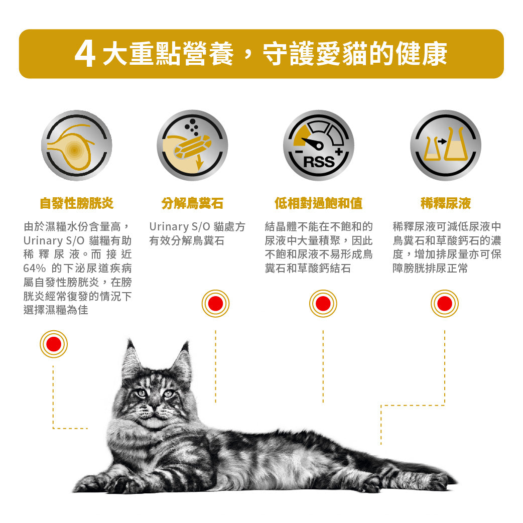 Royal Canin - VHN Cat Urinary (Loaf)成貓泌尿道處方濕糧(肉塊) 85g