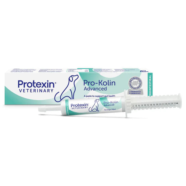 Protexin Prokolin Advanced for Dog - 「普樂高寧特效」- 犬用配方 止腹瀉注射式膏狀口服劑