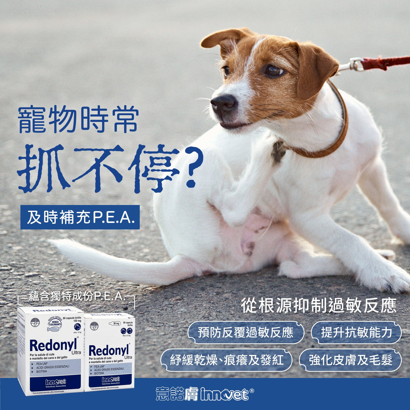 INNOVET® 意諾膚 P.E.A口服補充劑