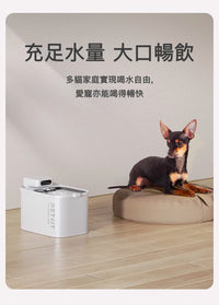 PETKIT_Eversweet_Max_無線智能飲水機