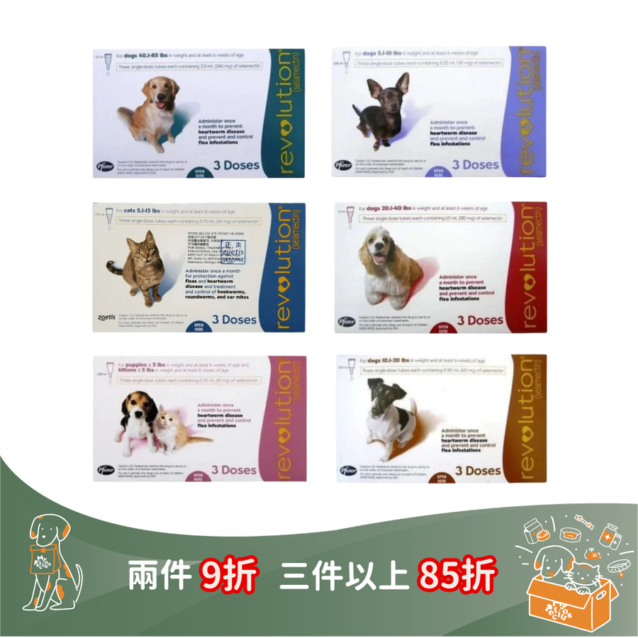 Revolution for Cats and Dogs (預防跳蚤、心絲蟲病、蛔蟲、鉤蟲、耳蟎)